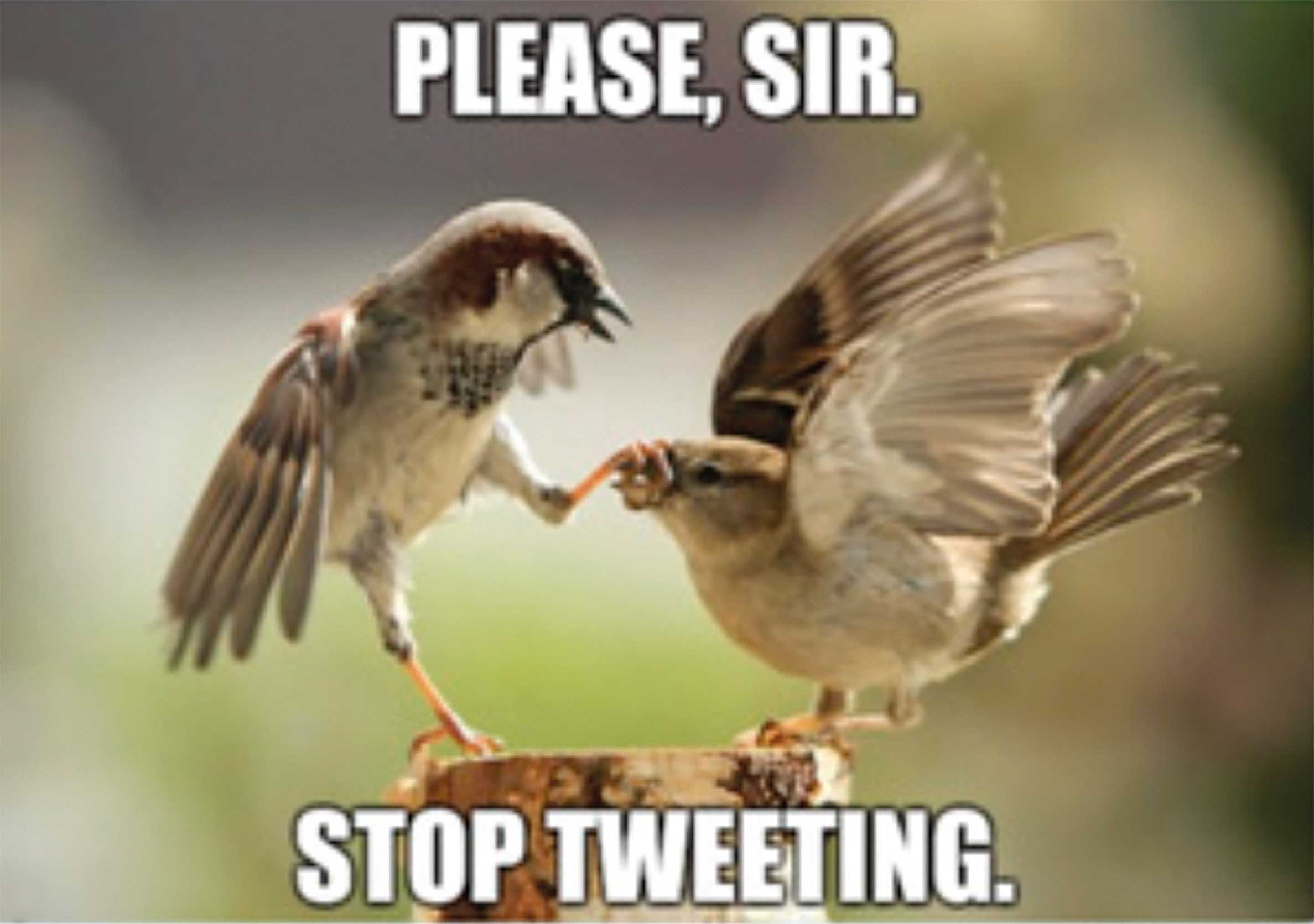 Mème utilisé dans l’étude de l’EPFZ pour répondre à un commentaire haineux sur Twitter